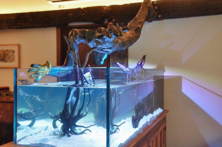 Acuario grande con troncos, raíces y decoración
